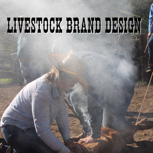 Livestock brand design, branding a calf